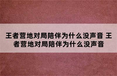 王者营地对局陪伴为什么没声音 王者营地对局陪伴为什么没声音